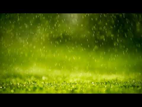 Mus'ab ARH Live Stream