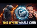 This Coin Single Handed Saved Pump Fun &amp; The Meme Season. Insane!