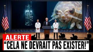 Cette Créature des Abysses ne Devrait PAS Exister… Pourtant Elle a Été Filmée