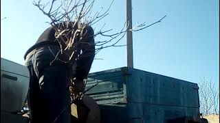 Самодельный щепорез. ВНИМАНИЕ  на 6:40 минуте сделайте громкость видео ниже. входящий звонок.Часть 2