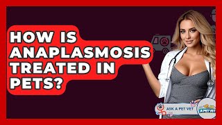 How Is Anaplasmosis Treated In Pets? - Ask A Pet Vet