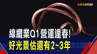 大亞2月供不應求.大山營收年增逾3成 線纜族群靠強韌電網計畫充電 不只Q1升溫 好日子還可望再2~3年｜非凡財經新聞｜20250311