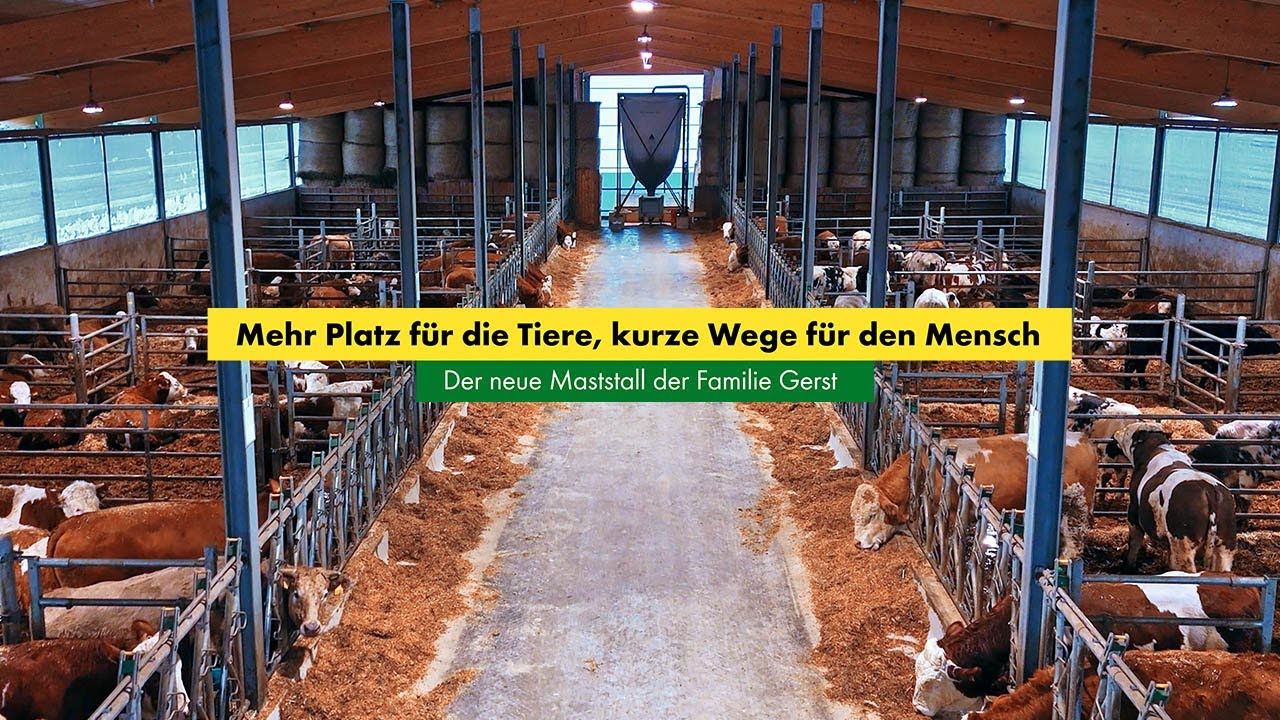 Mehr Platz für die Tiere, kurze Wege für den Mensch - der neue Maststall der Familie Gerst
