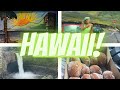 HAWAII TRAVEL VLOG 2021 | Kailua-Kona &amp; Honolulu