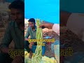 शुक्रवार बाजार बरबटी का रेट #farmig
