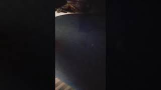 30 De Novembro De 2020