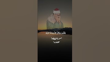 #قران_كريم  الشيخ المنشاوى سورة القصص #المصحف #قران #اكسبلور #الرحمن ١ #دويتو #لايك #duet