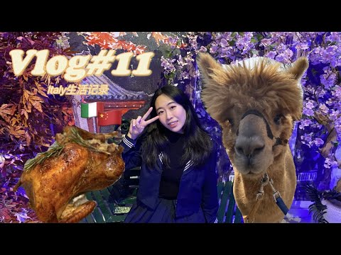 VLOG#11 Thanksgiving Dinner | Making Turkey | Walking with Alpaca | Milan Tenoha Japanese Exhibition