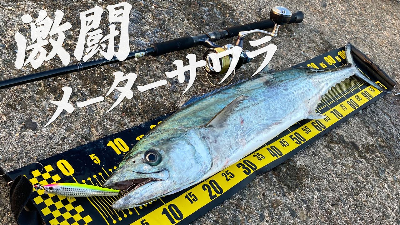 【メーターサワラ降臨】沖で跳ねる怪物はモンスターショットでワンパンでした　～ショアジギング/青物～