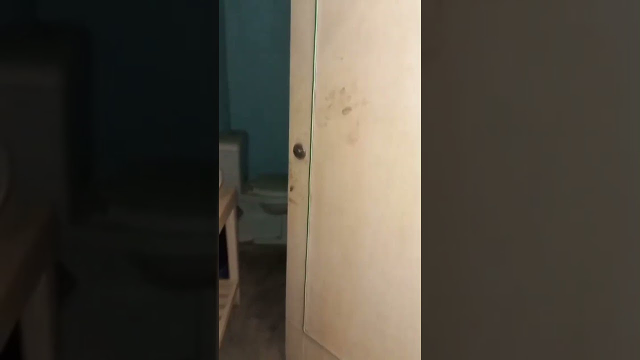 Bukhari Commercial Ground floor Showroom with Basement For Rent 850 + 850 Sqft 60 ft Road Rent 425 k