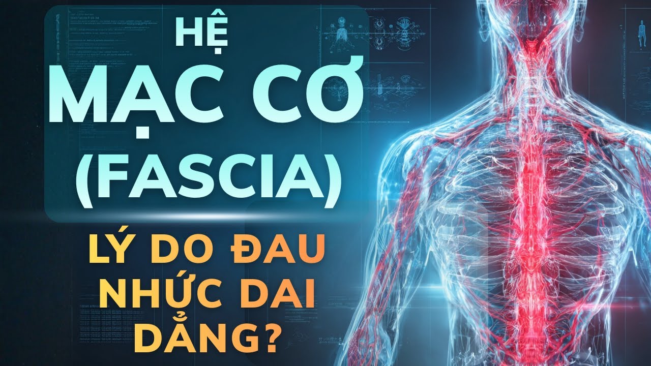 Hệ Mạc Cơ (Fascia) - Không Phải Xương Khớp! Đây Mới Là Nguyên Nhân Của Đau Nhức Dai Dẳng