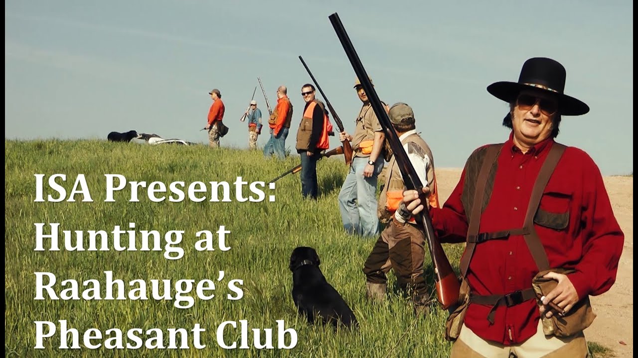 Pheasant Hunting at Raahauge's Pheasant Club in Sunny Southern California YouTube