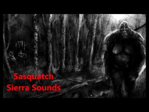Sasquatch Sierra Sounds by Ron Morehead & Al Berry in (HD)
