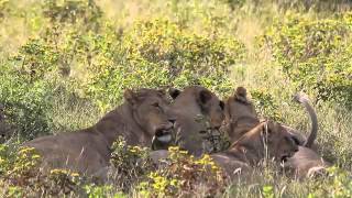 The Namibian Experience Video 05
