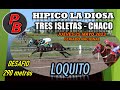 LOQUITO: HIPICO LA DIOSA - TRES ISLETAS, CHACO (25-05-2023)