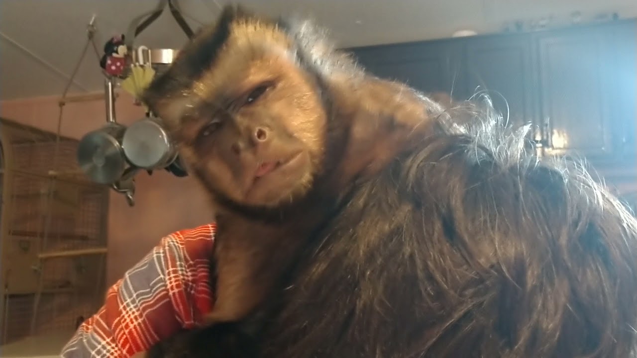 Smoking Fetishism Of Gunner Boeh