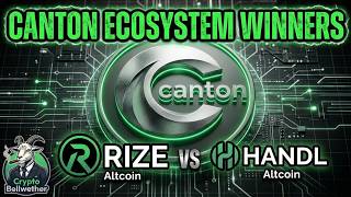 CANTON's ECOSYSTEM ALT's are PUMPING - RIZE now HANDLPAY - What you Need to Know before you BUY!
