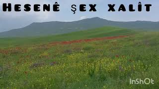 Dengbêj Hesenê şêx xalit - Salihê  Mihemed behe hediya yê