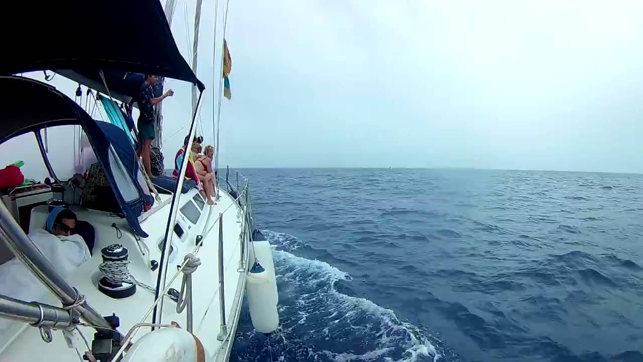 excursion boat dolphin trip gran canaria 2016 YouTube