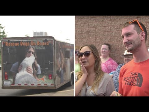 A Couple Adopted A Dog Before They Met Him Then The Moment Came And They Couldn’t Stop The Tears A Couple Adopted A Dog Before They Met Him Then The Moment Came And They Couldn’t Stop The Tears