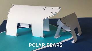 POLAR BEARS
