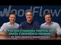 O potencial da madeira tropical brasileira no mercado global | Podcast WoodFlow #22