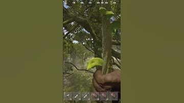 I OWN The Jungle 🌴 | Rust #shorts s