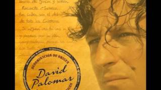 David Palomar - Alegrías de Albero