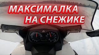 ОБЗОР + ТЕСТ драйв ТРЁХ снежиков BRP!