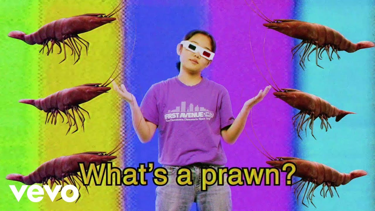 Superorganism   The Prawn Song Official Video