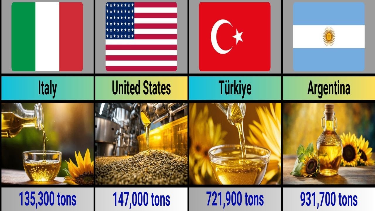 Sunflower Oil Production by Countries (Top 50) YouTube