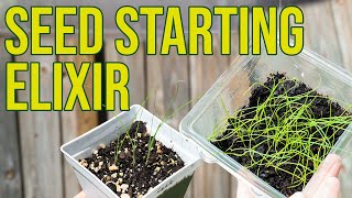 Seed Elixir: Making and Using Lactic Acid Bacteria