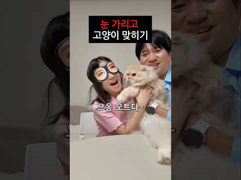 상금 만원 걸고 <strong>눈</strong> 가리고 만져서 고양이 <strong>이름</strong> 맞히기 ㅋㅋㅋㅋ