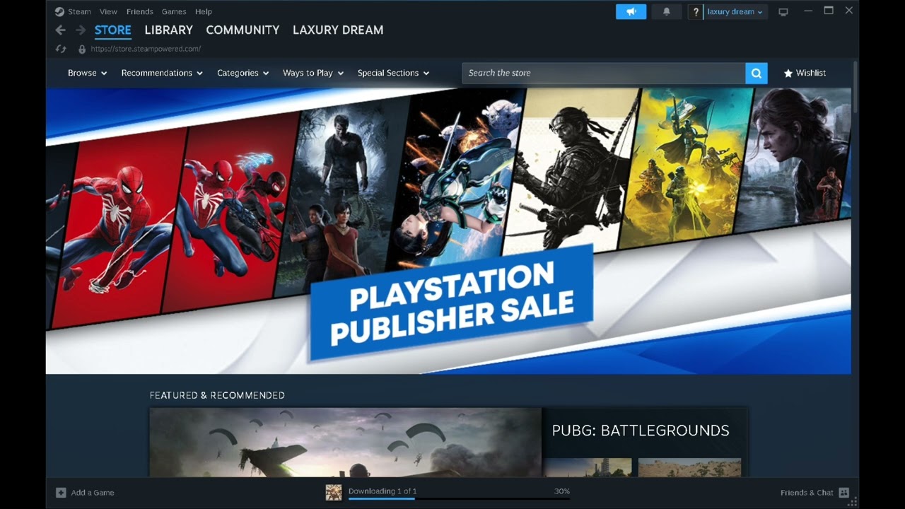 best laxury  steam account for rent