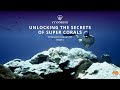 Unlocking the Secrets of Super Corals - Teaser 2