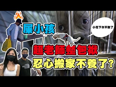 【老超與狗🐶】布拉的近況？我們決定尋求幫助... #寵物【超老師】