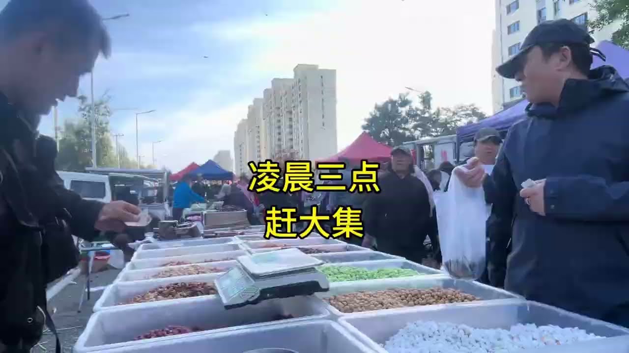 哈爾濱大降溫凌晨趕大集，棉褲都沒穿趕緊去買，最後差點賠了 #擺攤 #創業 #哈爾濱 #哈爾濱早市 #早市 #大集