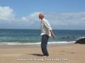 Bos Chi Kung Amsterdam: arm-zwaai qigong