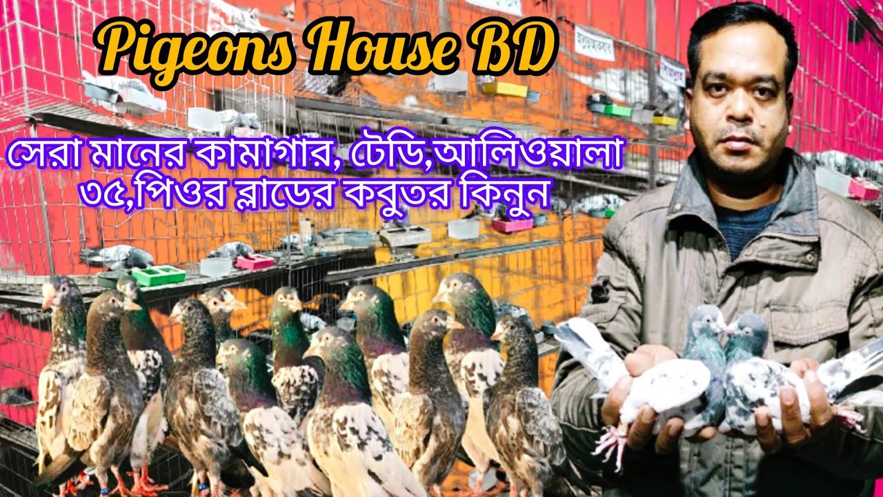 #প্রিন্স