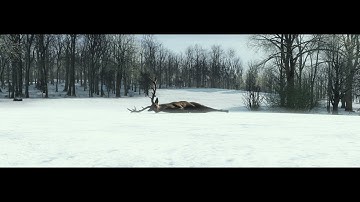 Just some Random Dayz Stuff