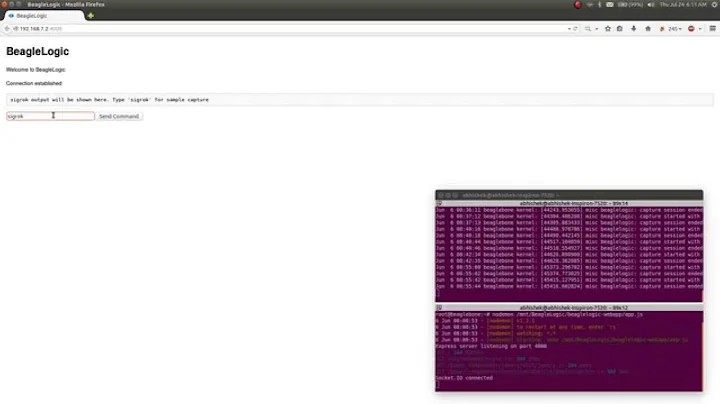 BeagleLogic quick-and-dirty web interface