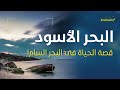 الحياة في البحر الأسود كيف تعيش في بحيرة من السموم