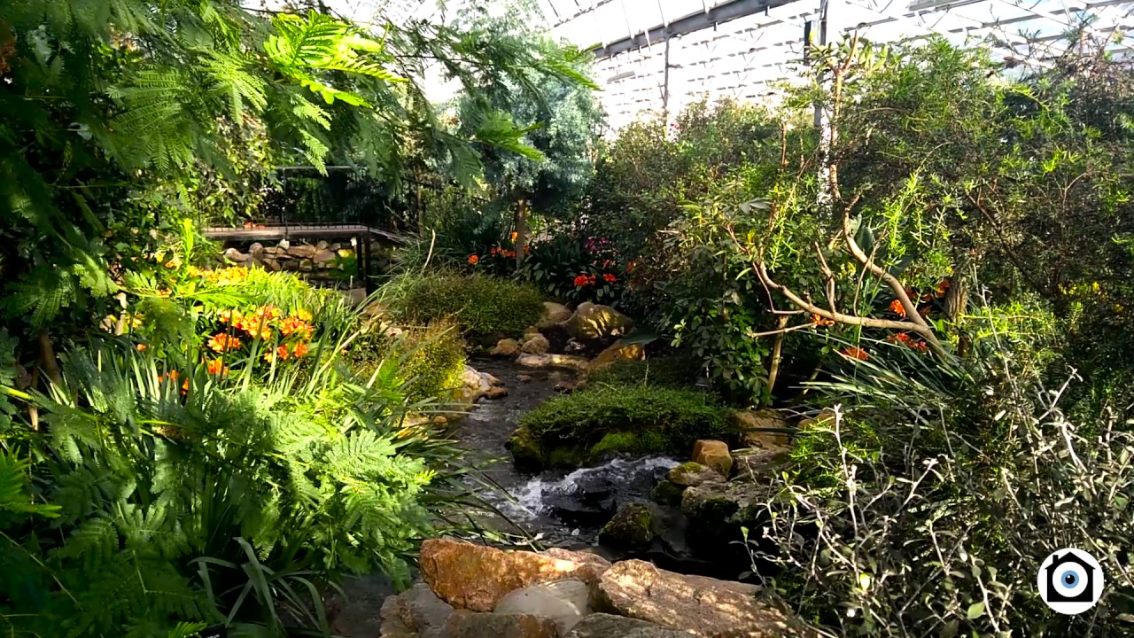 Duthie Park - Winter Gardens Aberdeen - Temperate House