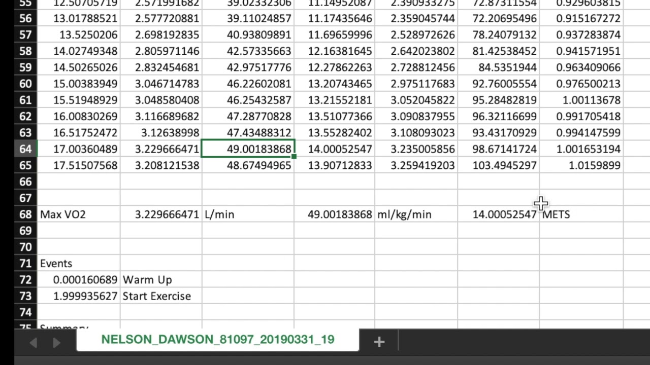 Data Analysis - Parvo Medics True One 2400 Metabolic Cart