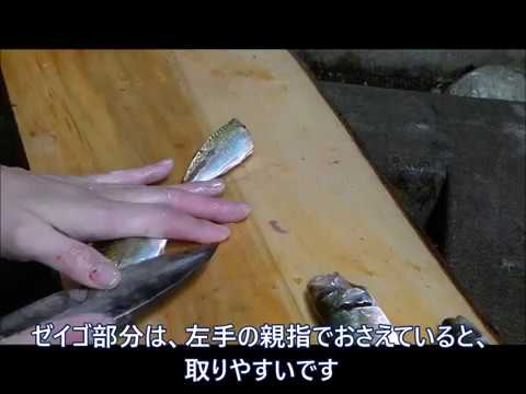 鯵大量に南蛮漬け 捌き方 Youtube 鯵大量に南蛮漬け 捌き方 Youtube