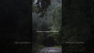 Аль-Ихлас #islam #добро #мухаммад #аллах