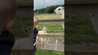 Download Lagu Chaotic lama part1 MP3