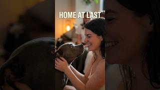 A Happy Ending For Our Darla Girl 🥰🐾