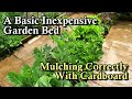 The Basic Most Inexpensive Garden Bed and Mulching With Cardboard Made Easier: Nothing Fancy Needed!