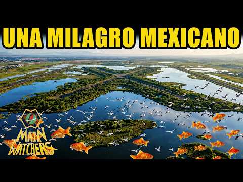 The Mexican MIRACLE in TEXCOCO